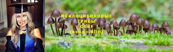 винт Балабаново