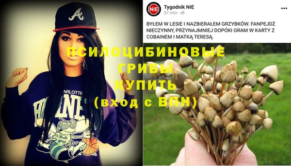 дживик Балахна