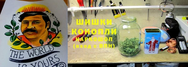 дживик Балахна