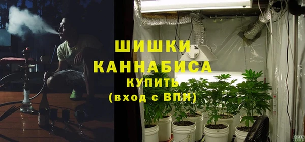 дживик Балахна