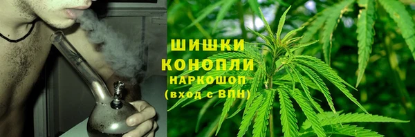 дживик Балахна