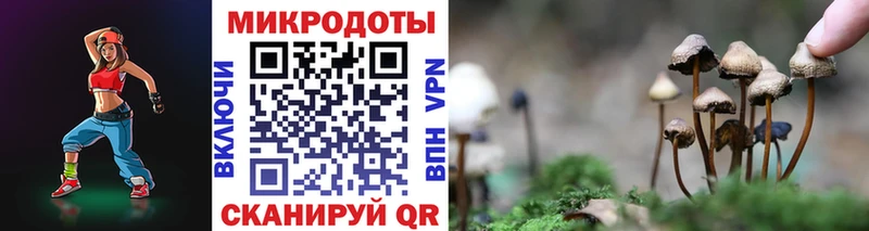 ОМГ ОМГ   Шумерля  Псилоцибиновые грибы Magic Shrooms  где найти наркотики 