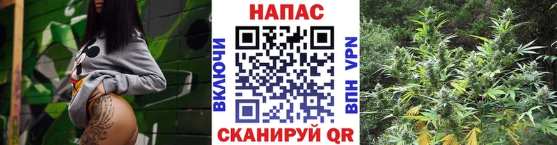 Канабис план  Шумерля 